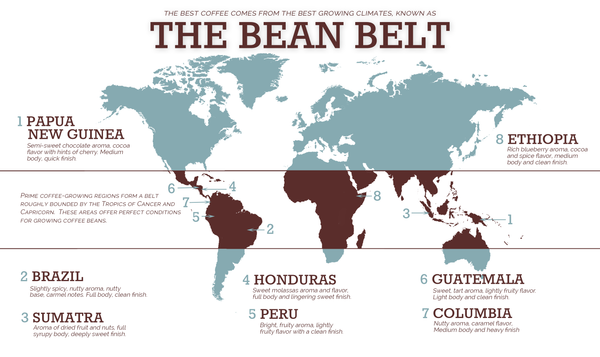Regional Coffee Origins: General Flavour Tendencies