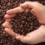 Coffee Roast Level Explained: The Best Coffee Beans for You