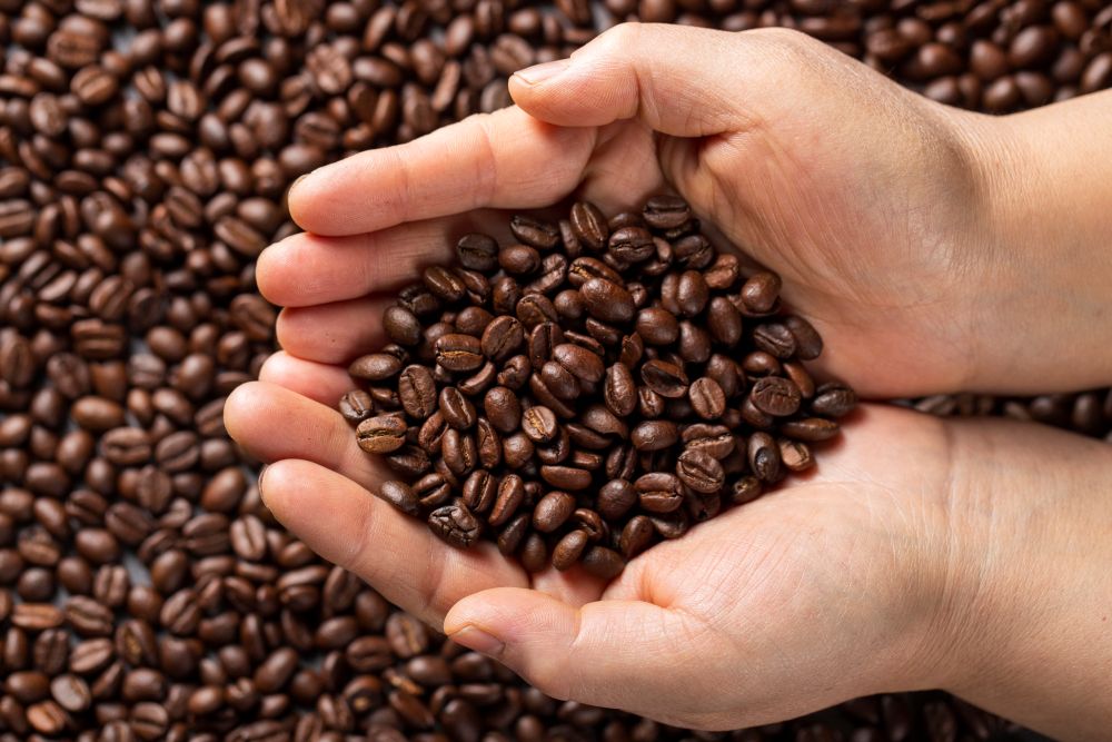 Coffee Roast Level Explained: The Best Coffee Beans for You