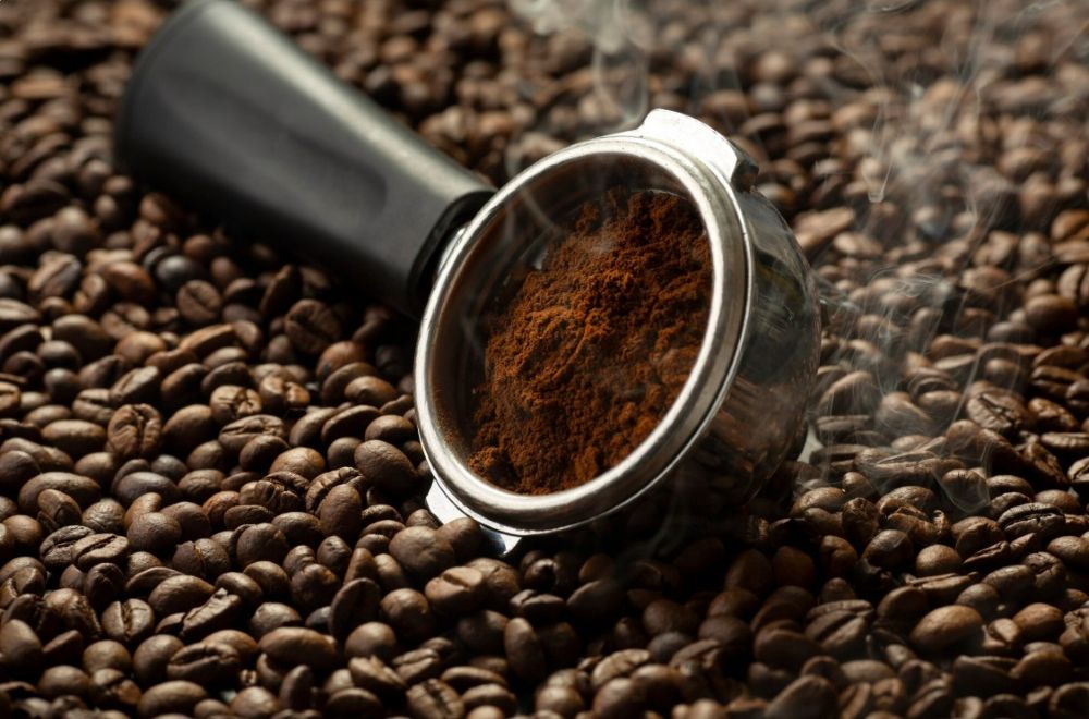 Roburta What Is Robusta Coffee? How It Differs from Arabica